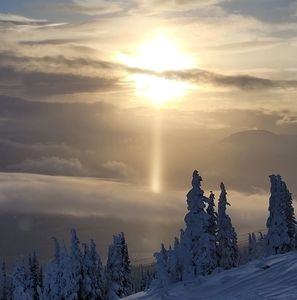 Meet your Posher, Shawn